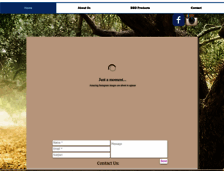 bikebagdude.com screenshot