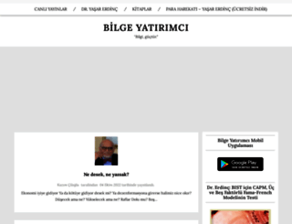 bilgeyatirimci.com screenshot