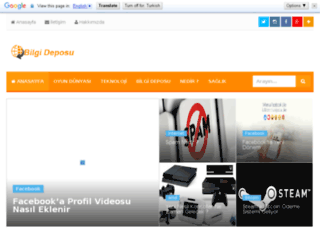 bilgi-deposu.com screenshot