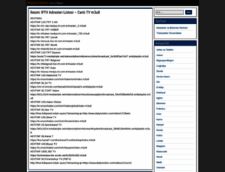 bilgiadres.com screenshot