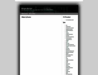 bilisimkariyer.com screenshot