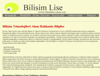 bilisimlise.somee.com screenshot
