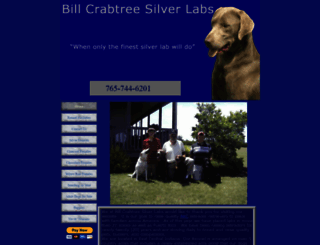 billcrabtreesilverlabs.com screenshot