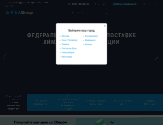 binagroup.ru screenshot