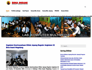 binainsani.com screenshot