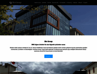bingroup.net screenshot
