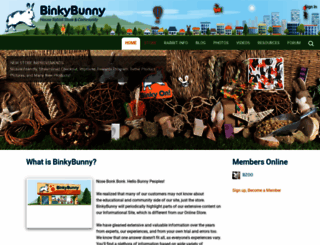 binkybunny.com screenshot