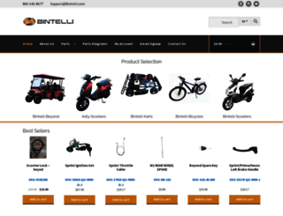 bintelliparts.com screenshot