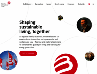 bintg.com screenshot