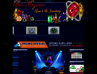 bio-magneto.com screenshot