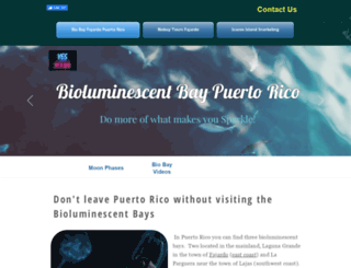 biobayfajardo.com screenshot