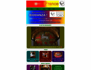 biodanza-france.com screenshot