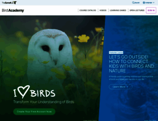 biology.allaboutbirds.org screenshot