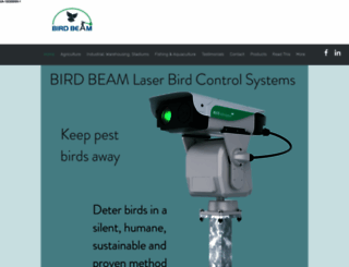birdbeam.com.au screenshot