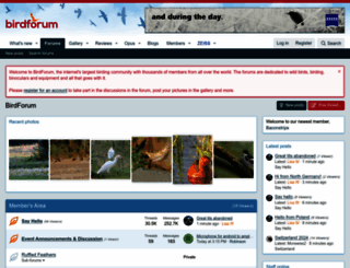 birdforum.net screenshot