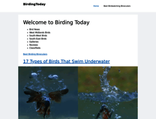 birdingtoday.co.uk screenshot