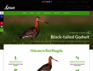 birdmongolia.com screenshot