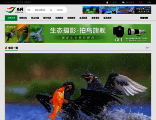 birdnet.cn screenshot