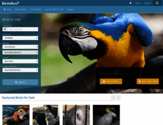 birdsnow.com screenshot