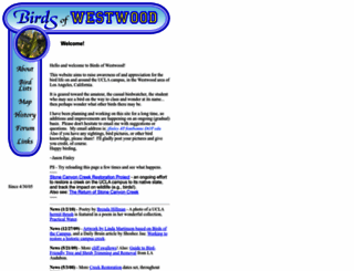 birdsofwestwood.com screenshot