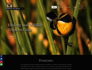 birdwatchingchile.com screenshot