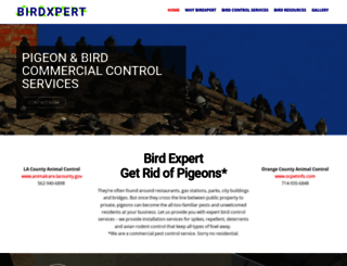 birdxpert.com screenshot