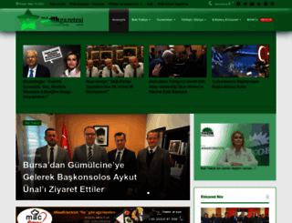 birlikgazetesi.org screenshot