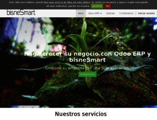 bisnesmart.com screenshot