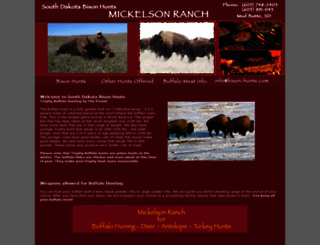 bison-hunts.com screenshot