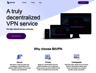 bitvpn.net screenshot