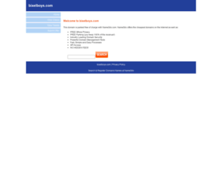 bixelboys.com screenshot