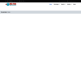 biz-faq.com screenshot