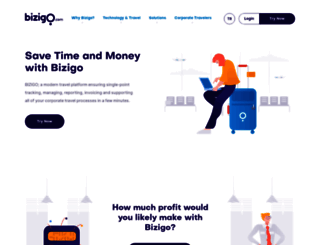 bizigo.com screenshot