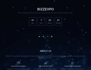 bizzexpo.com screenshot