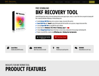 bkfrecovery.net screenshot