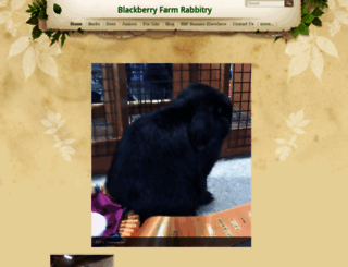 blackberryfarmrabbitry.weebly.com screenshot