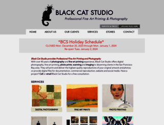 blackcatstudio.com screenshot