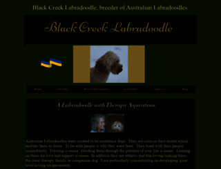 blackcreeklabradoodles.com screenshot
