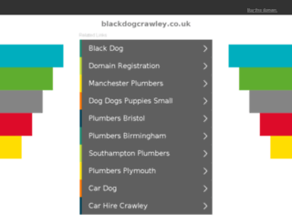 blackdogcrawley.co.uk screenshot