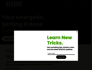 blackdogllc.com screenshot
