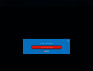 blacknwhiteservices.com screenshot