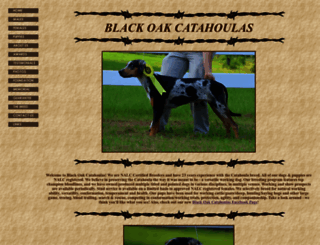 blackoakcatahoulas.com screenshot