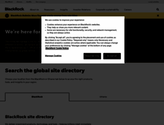 blackrockinternational.com screenshot