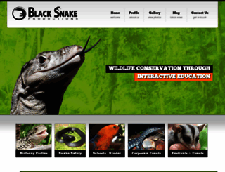 blacksnakeproductions.com.au screenshot
