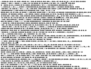 blackstallion.com screenshot