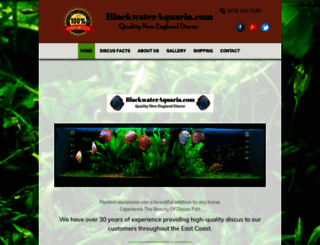 blackwateraquaria.com screenshot