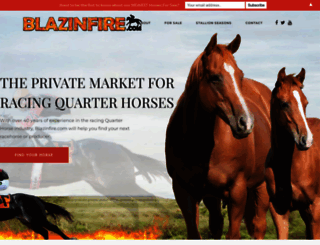 blazinfire.com screenshot