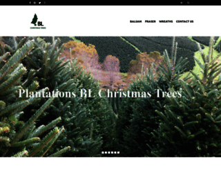 blchristmastrees.com screenshot