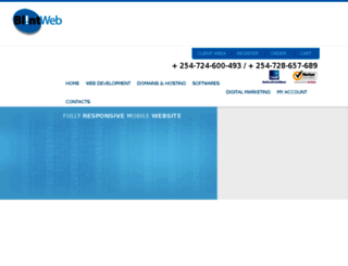 blintweb.com screenshot
