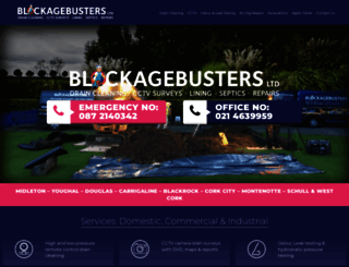 blockagebusters.ie screenshot